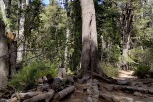 Departamentos Lago Gutierrez