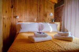 Departamentos Roca 2020