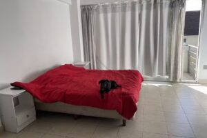 Departamentos temporarios Farley