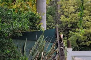 Descanso “El Hornero”