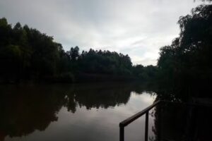 Descanso los Álamos