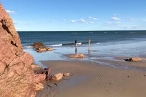 Desert Tracks Rancho