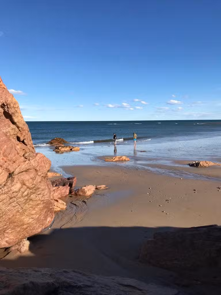 Desert Tracks Rancho