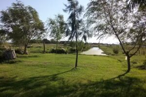 Don Celedonio Chacra