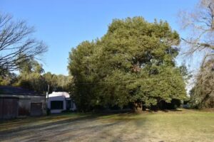 Don Marcos -casa de campo-