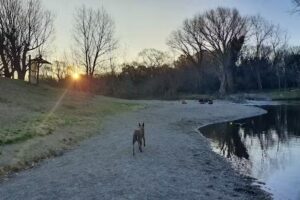 Dúplex Cabañas Golf