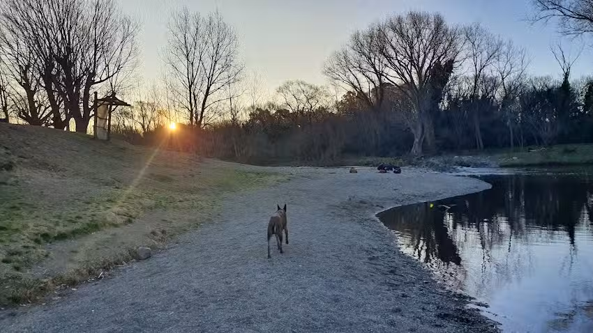 Dúplex Cabañas Golf