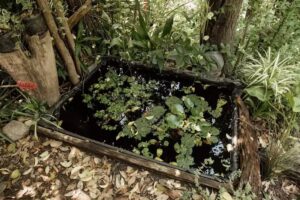 Eco Hospedaje Prana Salsipuedes