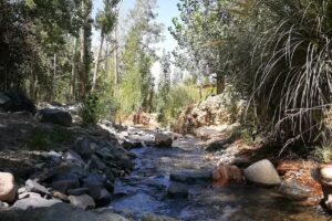 Eco Hostel y Camping Sin Fronteras Mendoza