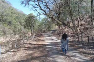 Eco Lodge de la Selva