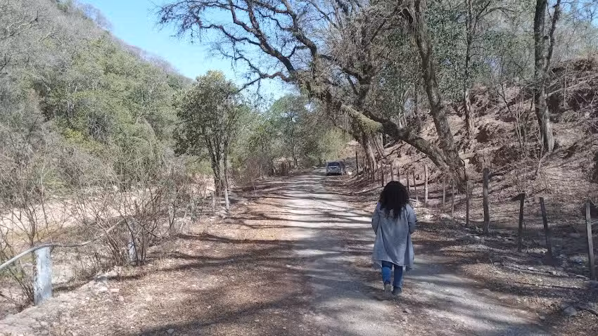 Eco Lodge de la Selva