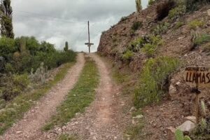 Eco Ranchos y dormir con llamas