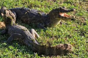 Ecoposada del Estero