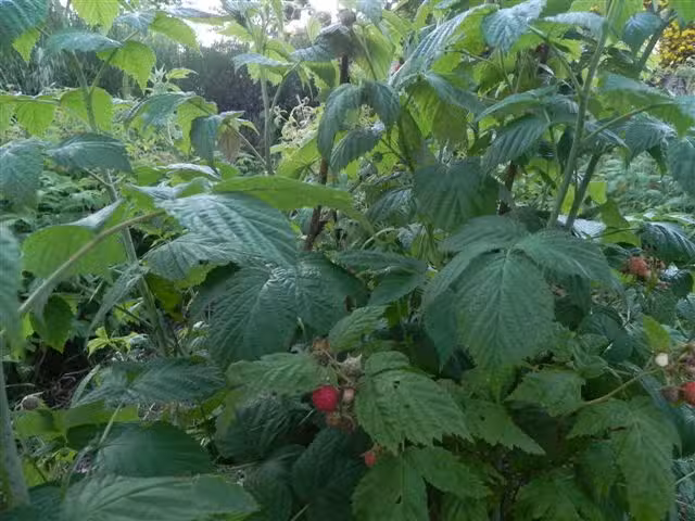 Ecos Casas de Montaña
