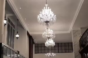 El Águila del Tuyú