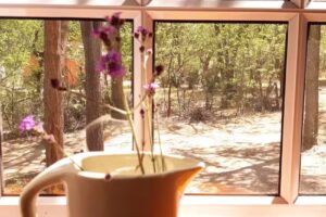 El Bosquecito – Cabaña rodeada de bosque