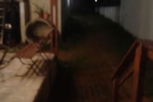 El CABURÉ DE MAR AZUL