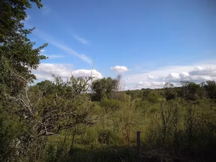 El Campo de las Rosas