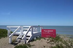 El Deseo en Pehuen co