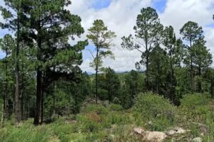 El Escondido – Natural Glamp y Restó