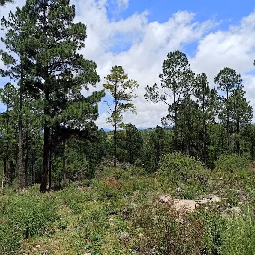 El Escondido – Natural Glamp y Restó