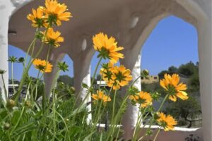 El Faro de Carpier Hotel