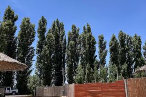 El FOGÓN _Medano de Oro_ QUINCHO CON PILETA