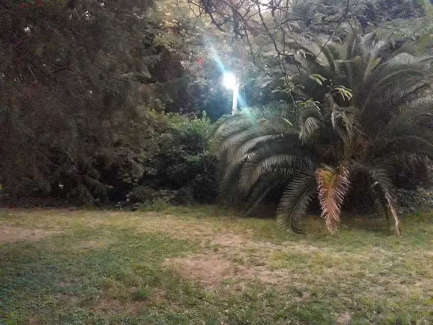 El mayoral del tranvia