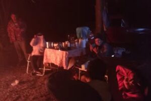 El nido del chinchorroo