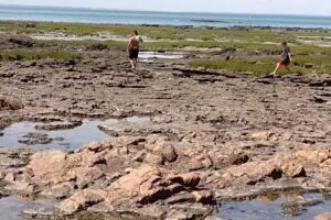 El Nido Del Pinguino.