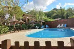 El nogal de la colina