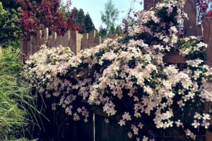 El Oasis Apart Hotel