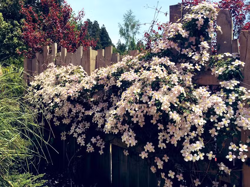 El Oasis Apart Hotel