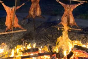 El Paraíso Arroyito