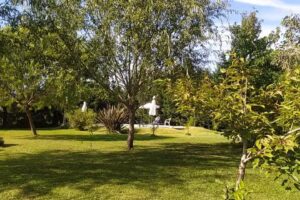 El Pinar De La Laguna