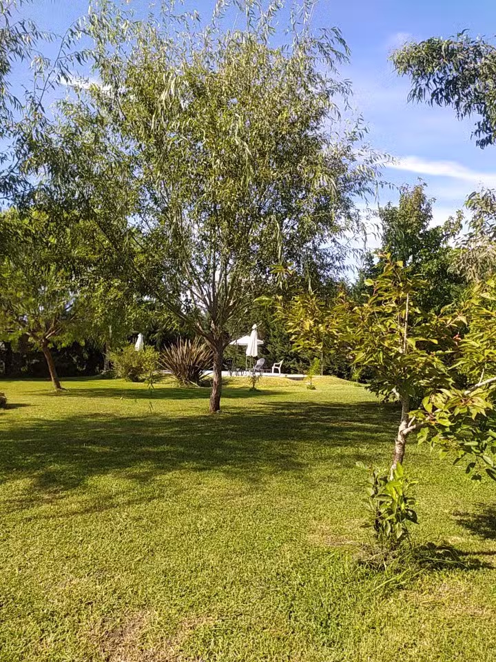 El Pinar De La Laguna