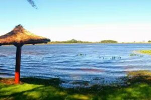 El Pinar De La Totora