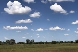 el pinar de los patos