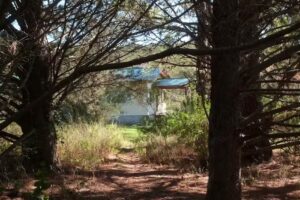 El Pinar – Hospedaje Serrano