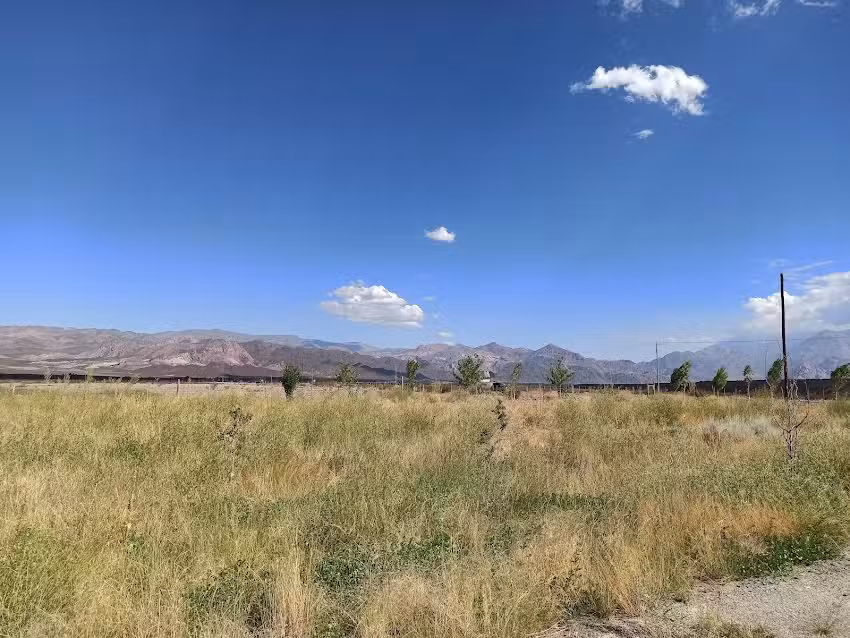 El portal de san alberto