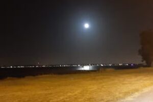 El portal del Bosque