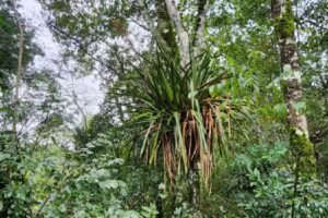 El pueblito lodge-Cabañas, alojamiento familias, parejas, solteros, casados, hospedaje, b&b, enamorados