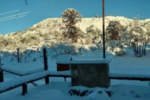 El Refugio de Caniche