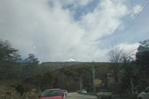 El Rincon del Andino