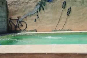 El Rincón del Colibri.