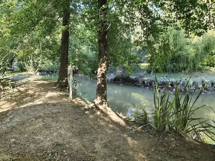 El Rincón del Sauce – Cabañas