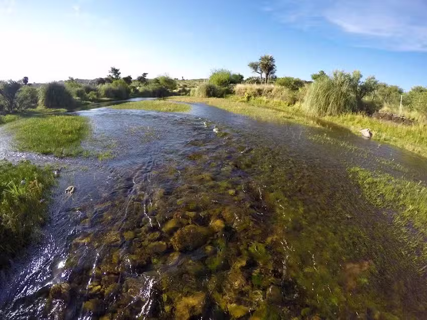 El Rincón del Socoscora