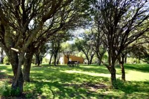 El Trébol Casa de Campo