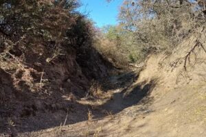 EN LO DE RICARDO – ALMACEN Y HOSPEDAJE