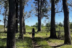 Encuentro Samborombon